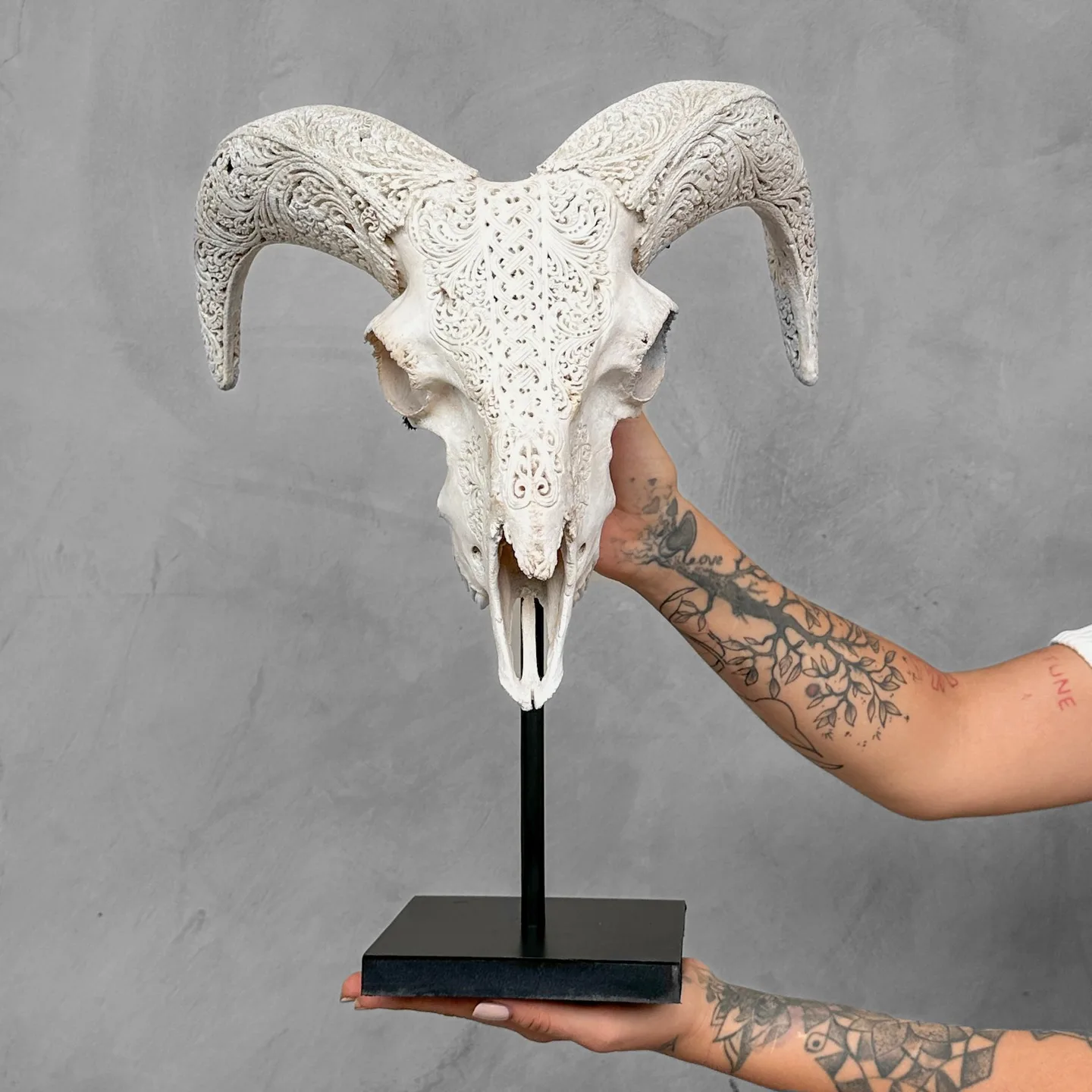 Authentic biela carved skull barana na metal stojane - motif Infinity - Ovis Aries